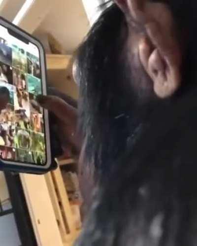 Ape using a Smartphone