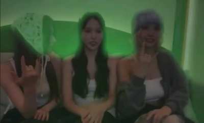 Mina accidently pressed an emote