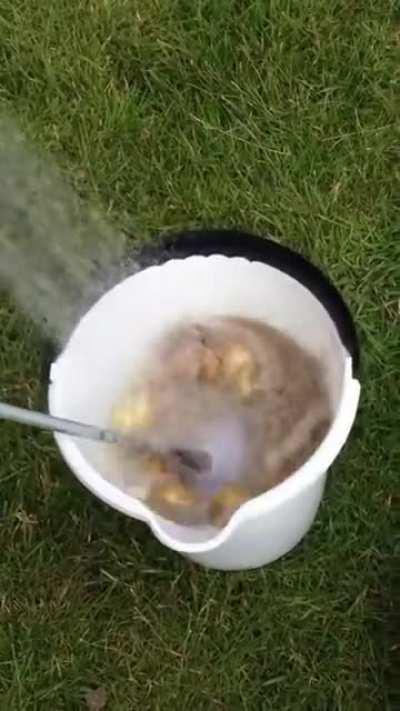 How to peel a lot of potatoes the fast way.