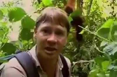 Mappers trying to justify their Loli backgrounds