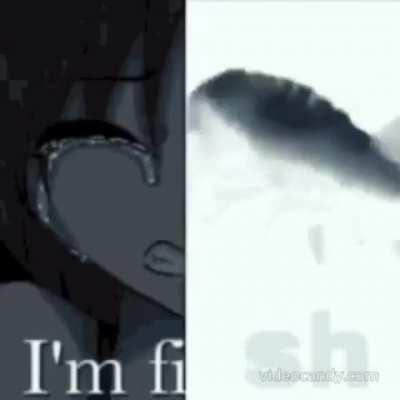 I know there's plastic fish MK II