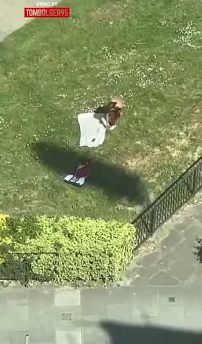 A different play of a kid with a magnifying glass at an ant hill.