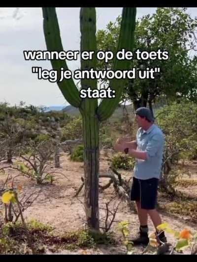 Mexicaanse cactus 😡