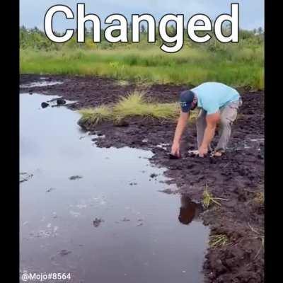 I never use reddit anymore but I feel I had to post this after I saw the original meme