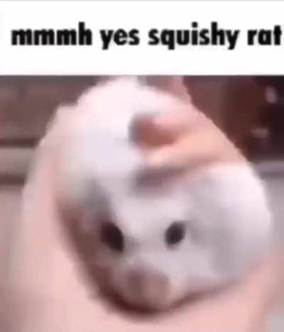 losercity røɗɛɲṭ