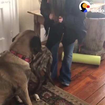 Trust me bro, you wanna sit for this