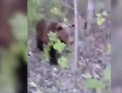 SHOOT, SHOOT THE CHARGER!!