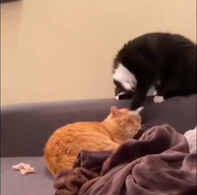 Priest performing an exorcism