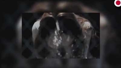 Not exactly sure what's being advertised