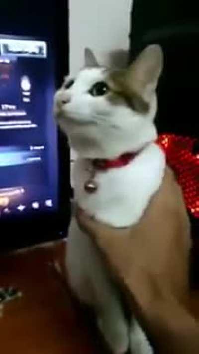 You must restart your cat to install important updates