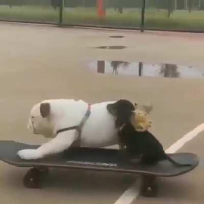 Let's go for a Ride!!