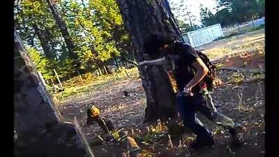 Beethoven’s Been real quiet since the new Sematary dropped