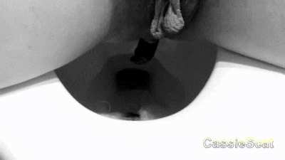 Clogging Public Toilet with Shit, Tampon, TP [F] [GIF]