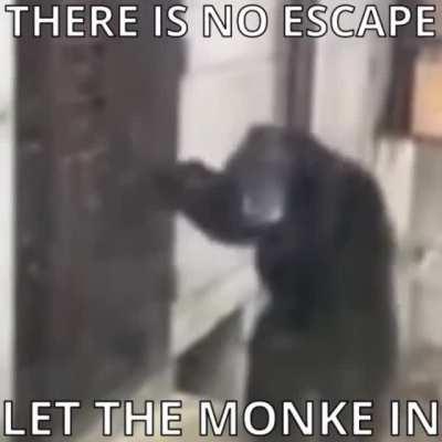 let the monke in (loud)
