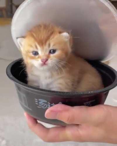 Look for these at your local Asian market.