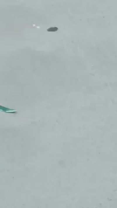 HMRB while I crush this hill.