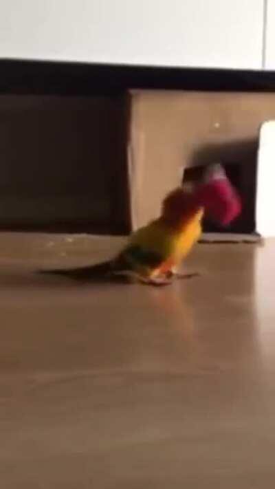 A drone malfunctioning after getting water in its circuitry