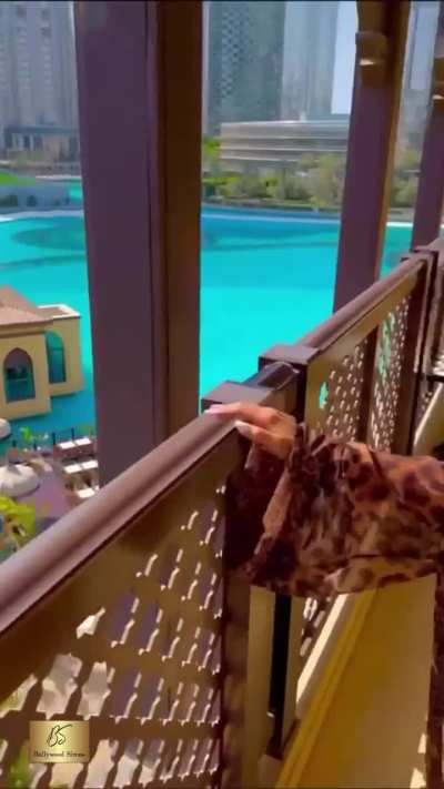 Ameesha is looking damn hot in black bikini 