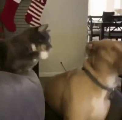 Here, have a slap out of f**king nowhere!