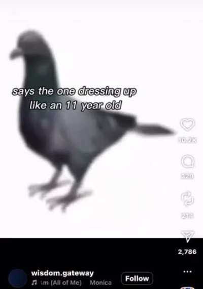 Got this on my Instagram Algorithm.