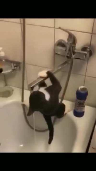 This was my 10,000 favorite!