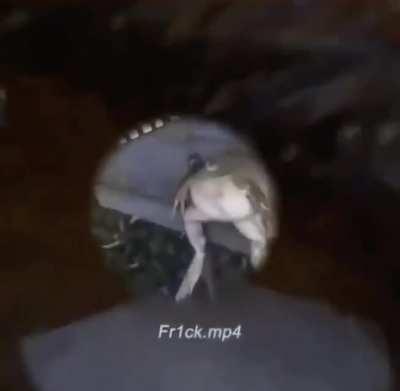 Carti phrog Carti phrog