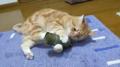 Cat plays with grenade, pulls pin