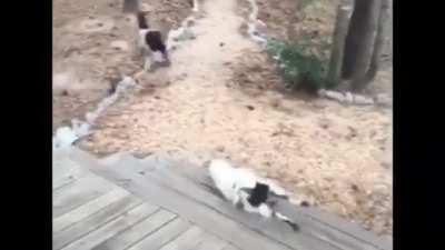 This I how it be when I introduce my friends to Peggy