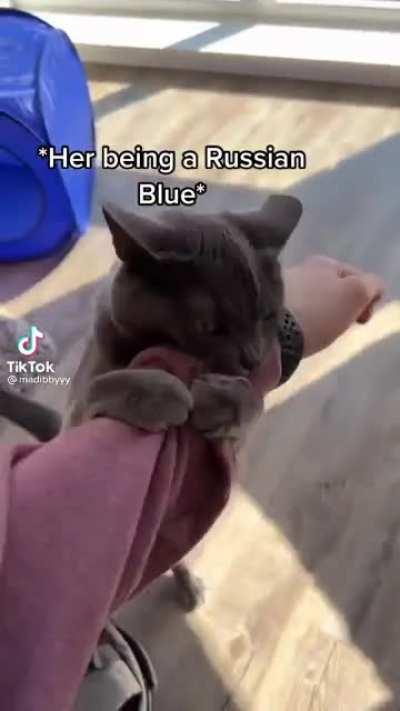 Anyone with Russian spies in their homes! Watch Out!