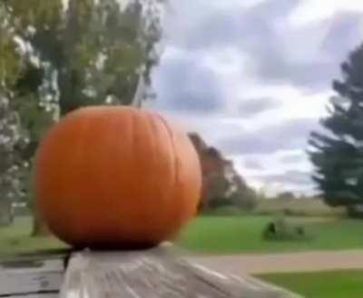 AK-47 vs Pumpkin