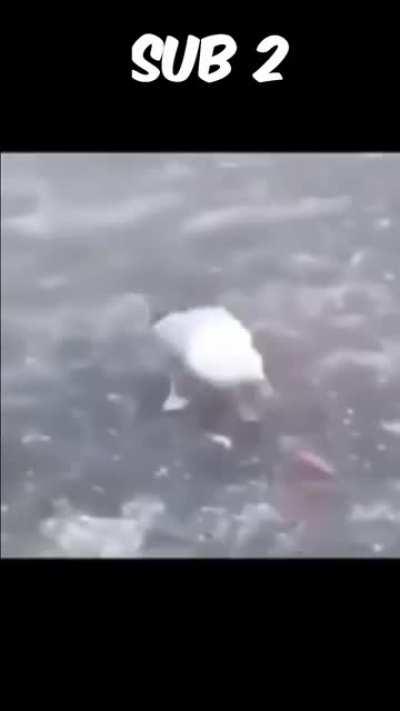 If You Laugh You Lose Extremely Hard #memes #rock #Genzmemes #TFS