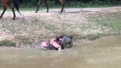 Horses are strong, but they have their limits. People should respect that.