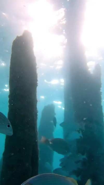 Sunset below the bridge, Isla Mujeres views