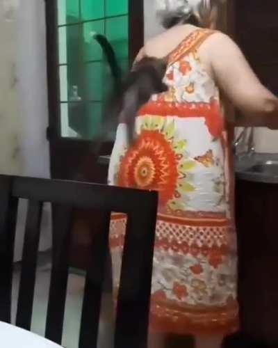 Grandma, I halp with dishes!