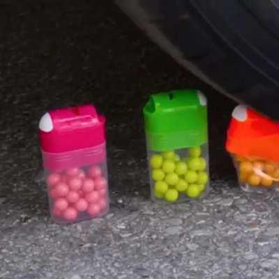 there isn’t any pet maltreatment