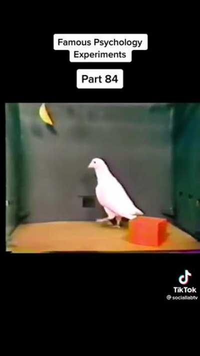 Jumping was disabled