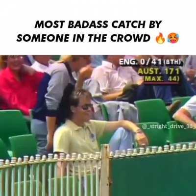 A badass catch in the stands.