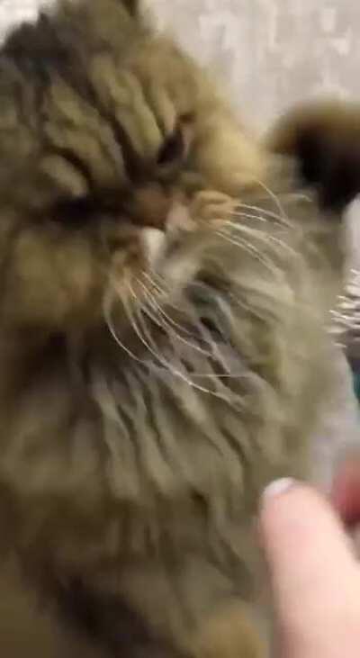 Don’t know what to put here