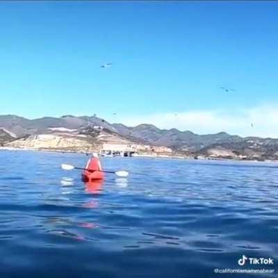 Did not fucking expect this shit!!