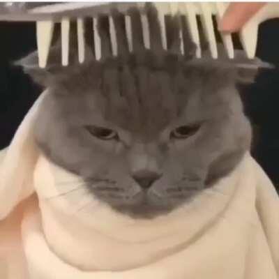 Kat gettin da fade!!!!!