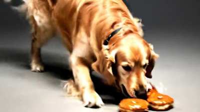 Florida Sheriff threatens to kill protesters, and the AG backs him. That’s not policing, that’s criminal. They must resign.