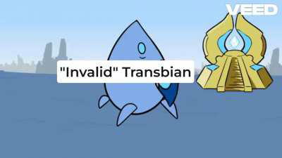 When a Transfem says they are "Invalid":