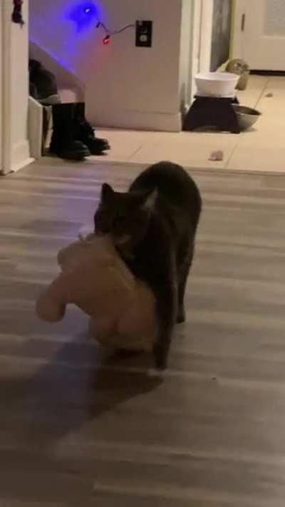 Ash with his teddy bear he carries everywhere with him.