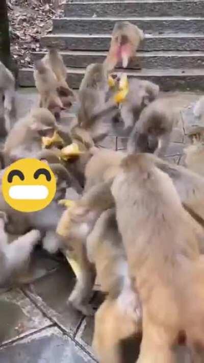 Cuando choca un tráiler que transporta ALGO, a la altura del kilómetro ALGO, de la carretera México-ALGO.