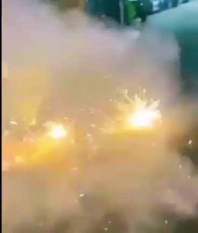 Dog woke up and chose violence