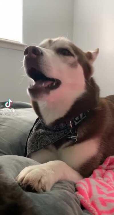 the ending got me 😂