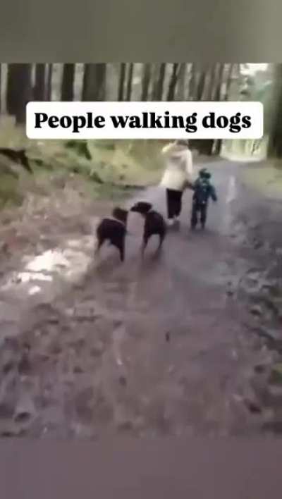 My dog people need me