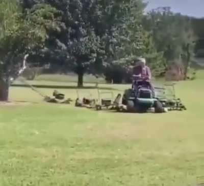 The Elder Mower, Leader of the grass cutting army.
