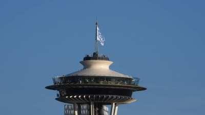 My P1000 VS. The Space Needle