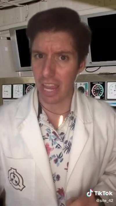 If The FNAF animatronics were SCPs (Which they arent)